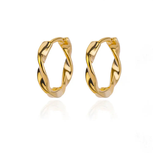 Elegant Round Earrings