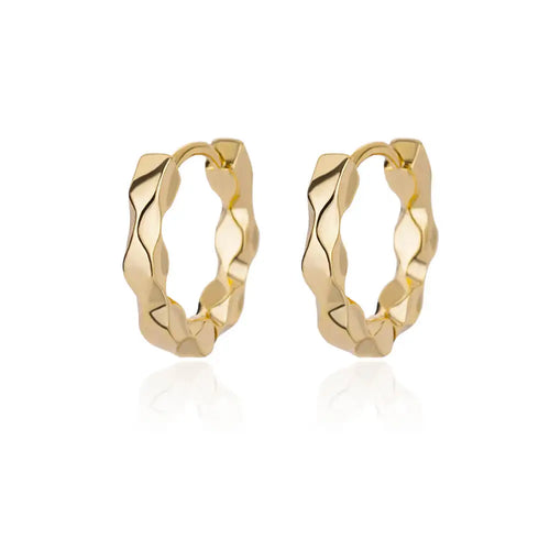 Elegant Round Earrings